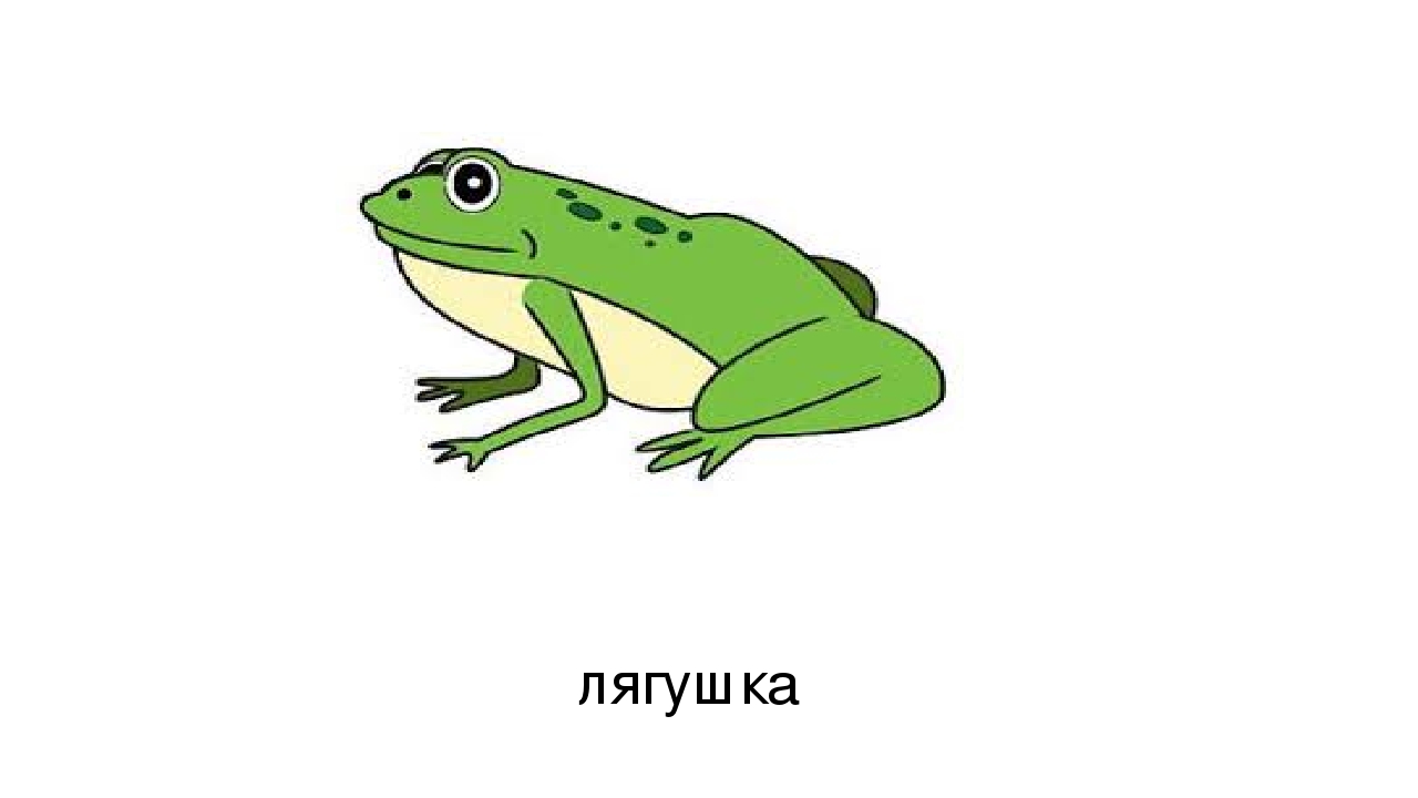 Презентация по развитию речи на тему: "Дифференциация звуков ж и ш" (старшая группа)