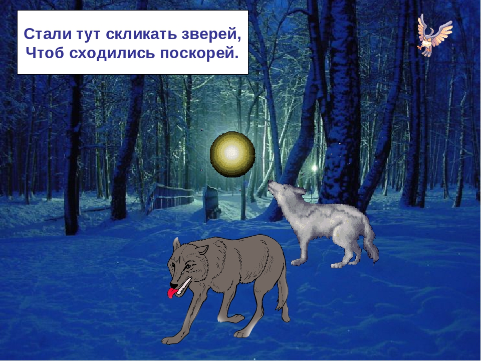 Презентация по ознакомлению с окружающим миром на тему: "Зимняя сказка"