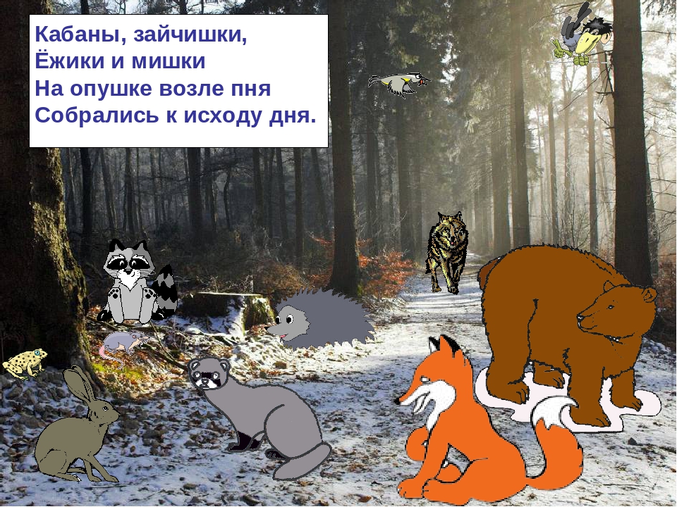 Презентация по ознакомлению с окружающим миром на тему: "Зимняя сказка"