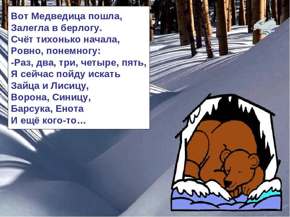 Презентация по ознакомлению с окружающим миром на тему: "Зимняя сказка"