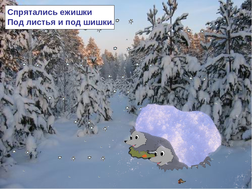 Презентация по ознакомлению с окружающим миром на тему: "Зимняя сказка"