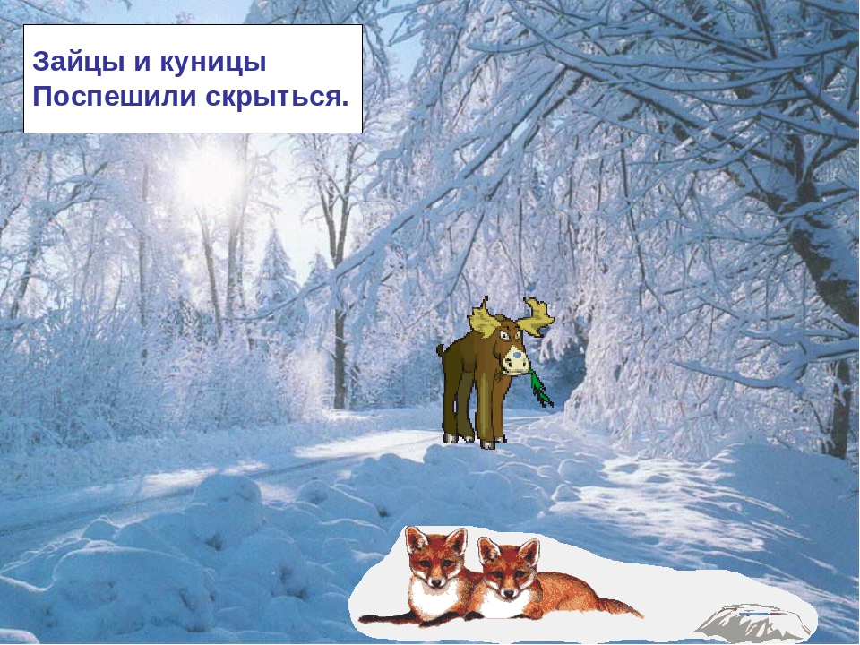 Презентация по ознакомлению с окружающим миром на тему: "Зимняя сказка"