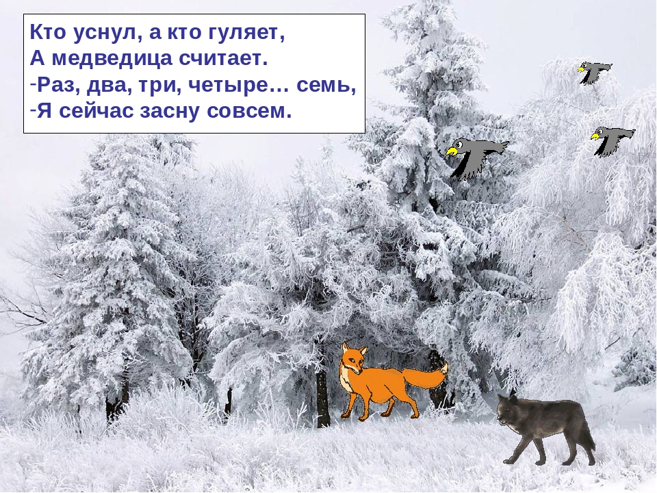 Презентация по ознакомлению с окружающим миром на тему: "Зимняя сказка"