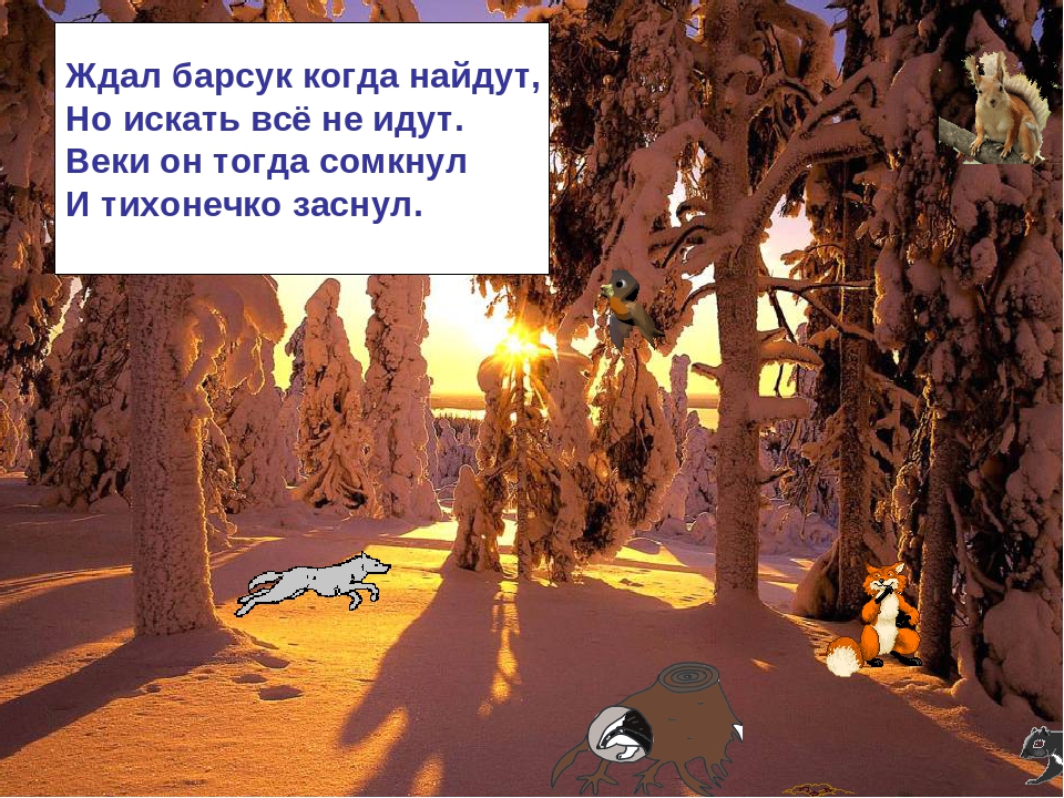 Презентация по ознакомлению с окружающим миром на тему: "Зимняя сказка"