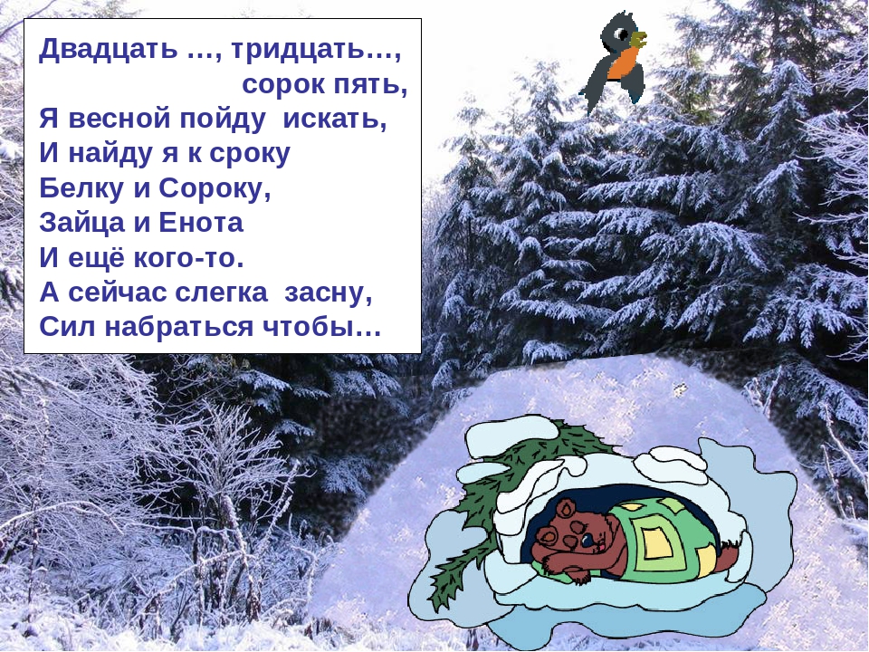 Презентация по ознакомлению с окружающим миром на тему: "Зимняя сказка"