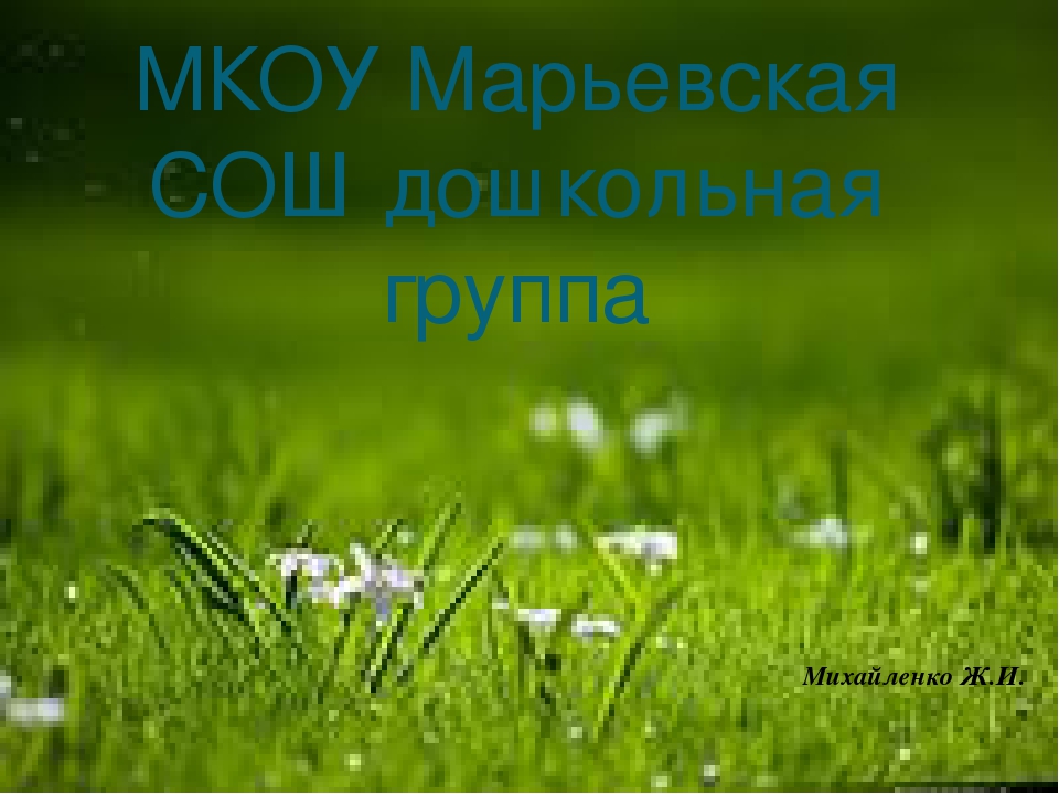 Презентация к занятию по познавательному развитию