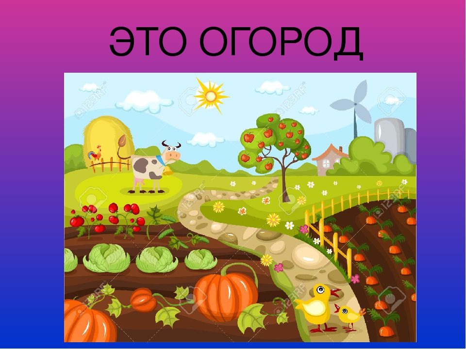 Презентация для дошкольников по естествознанию на тему: "ДАРЫ ОСЕНИ"