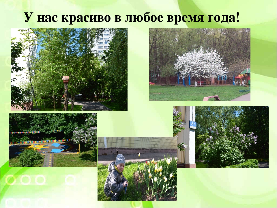 Презентация "Взаимодействие с родителями"