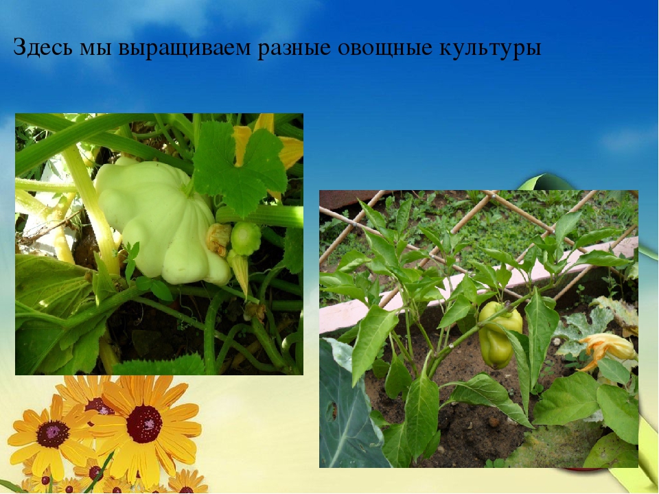 Презентация "Взаимодействие с родителями"