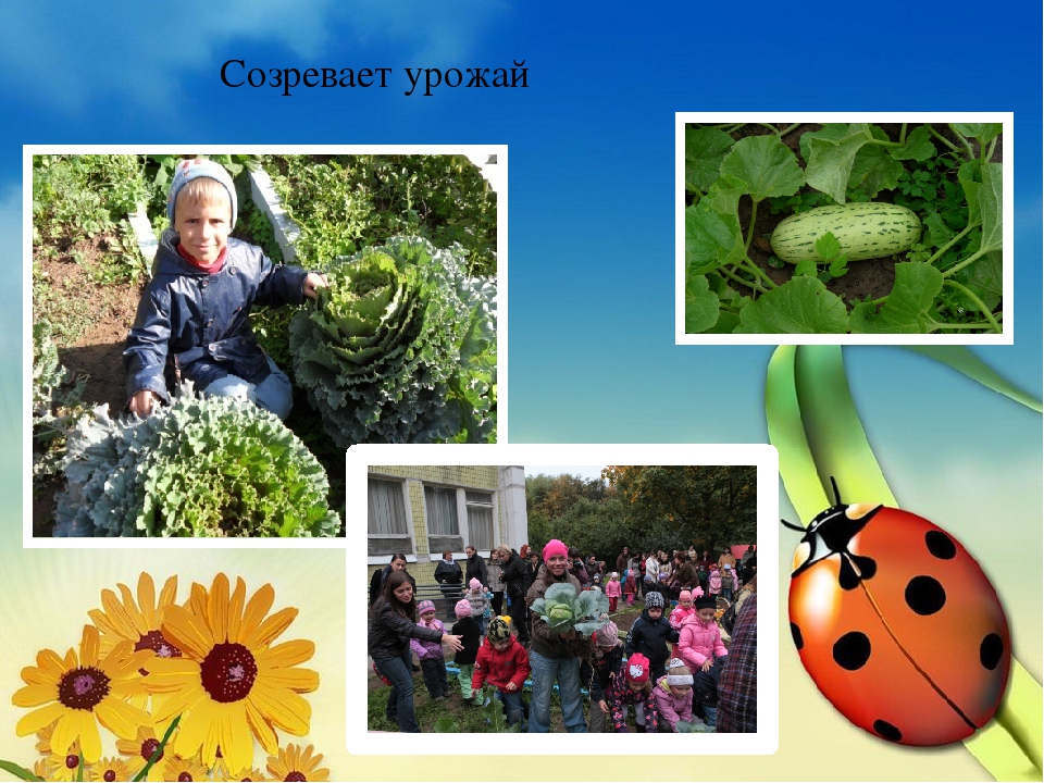 Презентация "Взаимодействие с родителями"