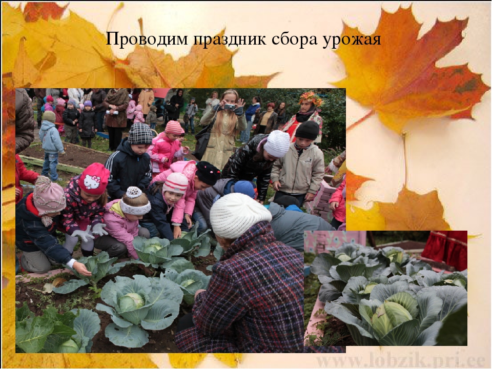 Презентация "Взаимодействие с родителями"