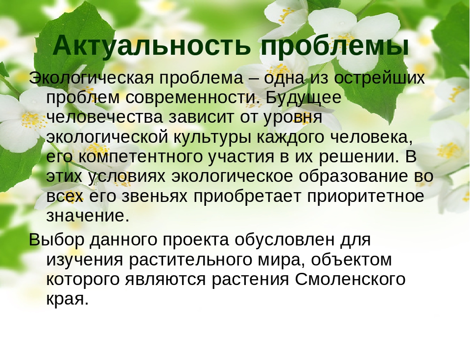 Социально-педагогический проект "Природа Смоленского края"