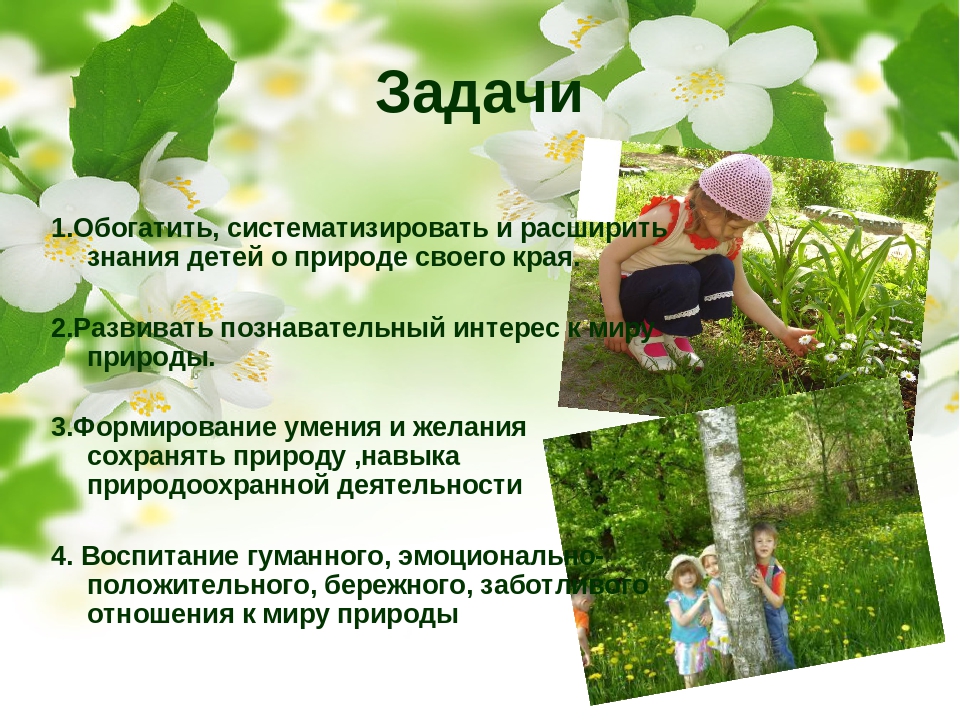 Социально-педагогический проект "Природа Смоленского края"