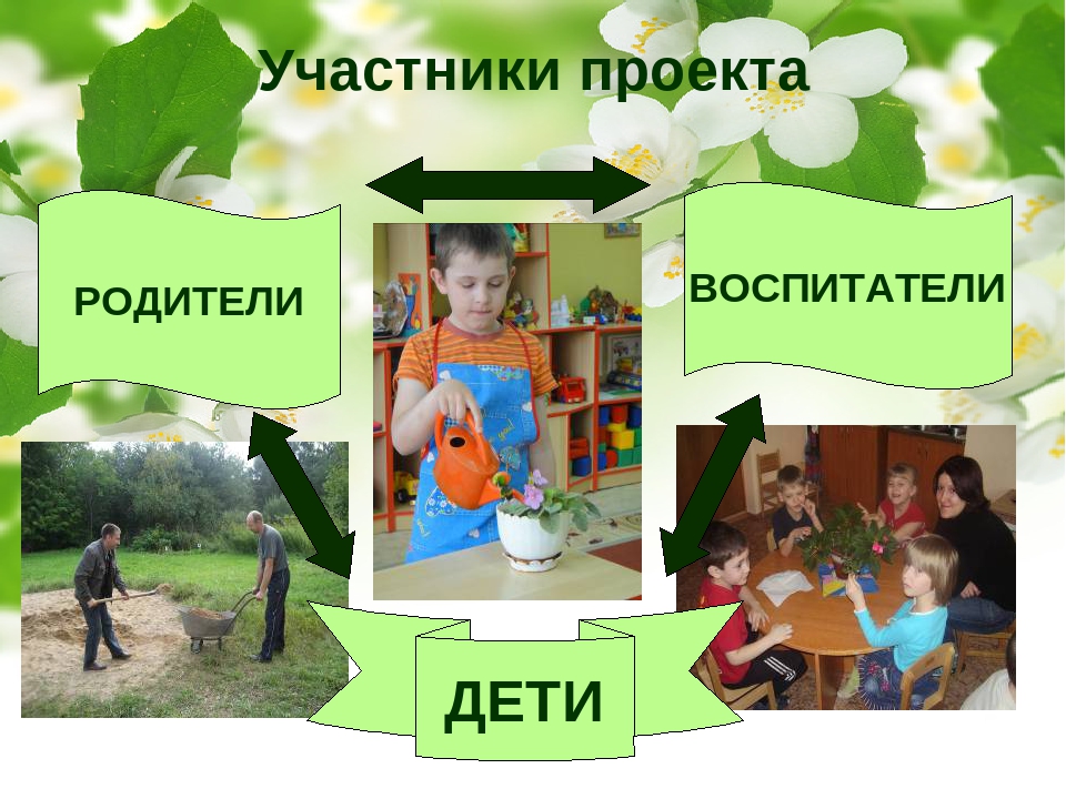 Социально-педагогический проект "Природа Смоленского края"