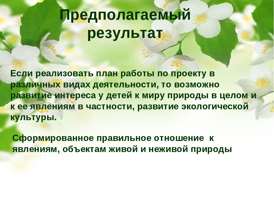 Социально-педагогический проект "Природа Смоленского края"