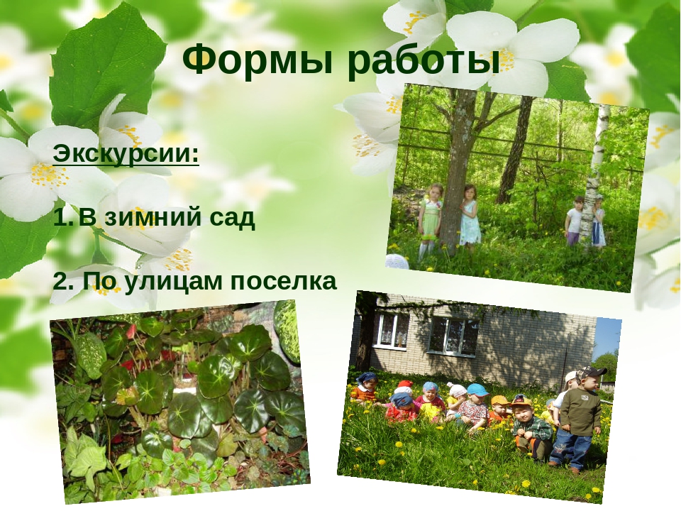 Социально-педагогический проект "Природа Смоленского края"