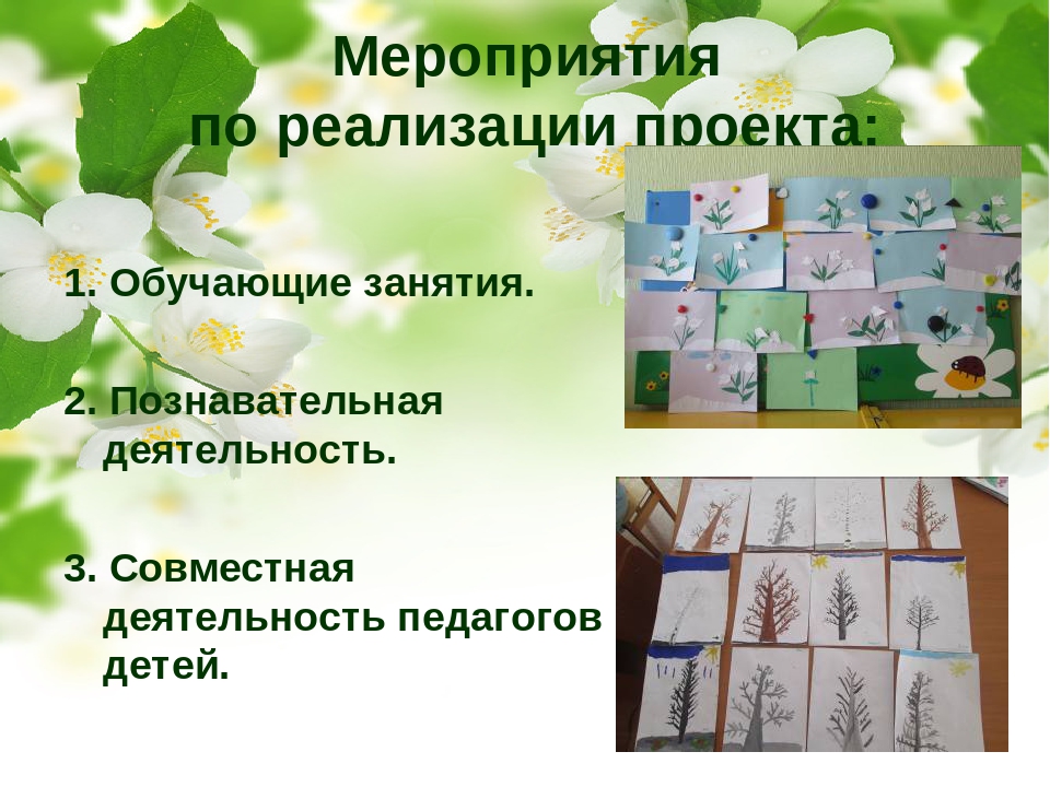 Социально-педагогический проект "Природа Смоленского края"