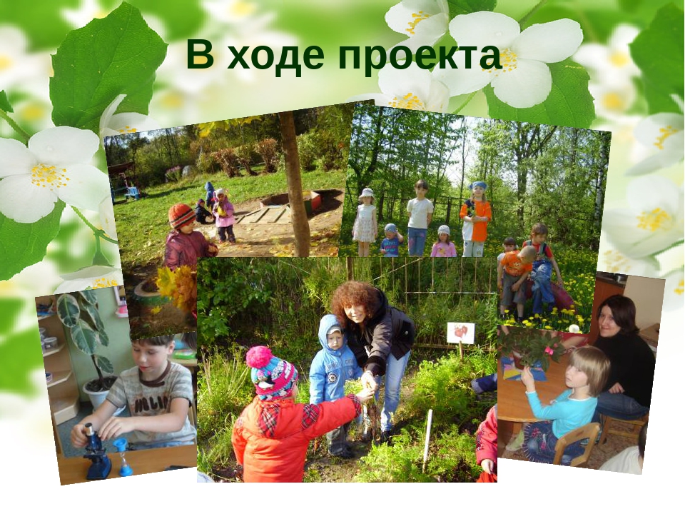 Социально-педагогический проект "Природа Смоленского края"
