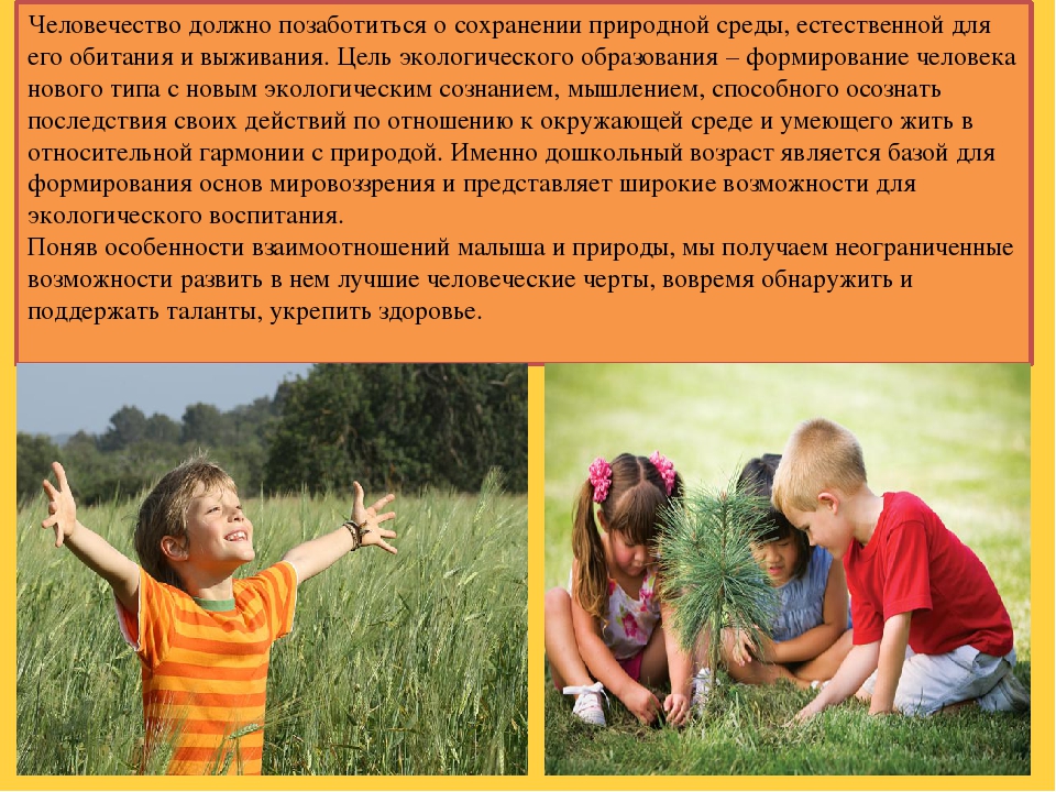 Презентация на тему "Ребенок и природа"