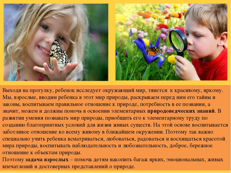 Презентация на тему "Ребенок и природа"