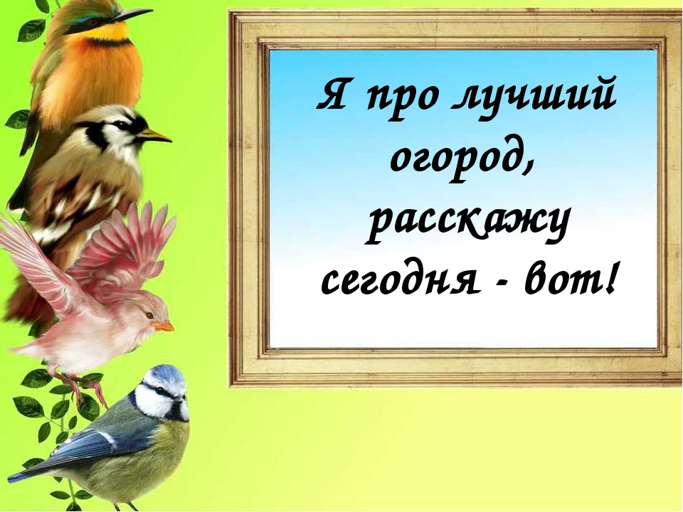 Презентация "Огород на подоконнике"