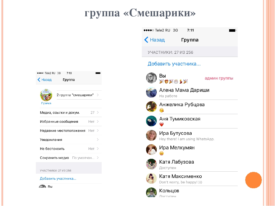 Технология использования приложения Whatsaap в работе с родителями детей раннего возраста