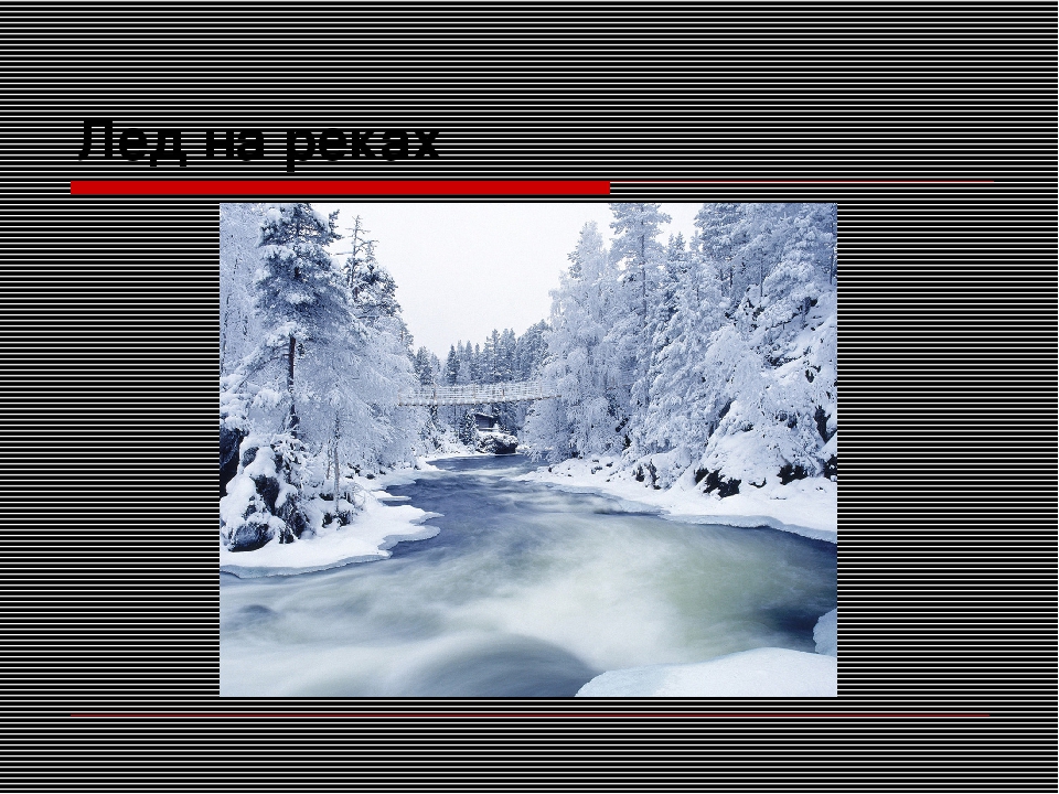 Презентация "Путешествие в зимний лес"