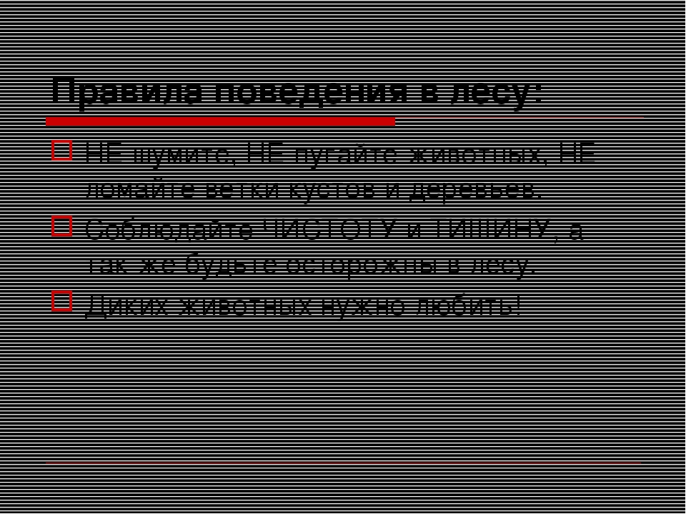 Презентация "Путешествие в зимний лес"