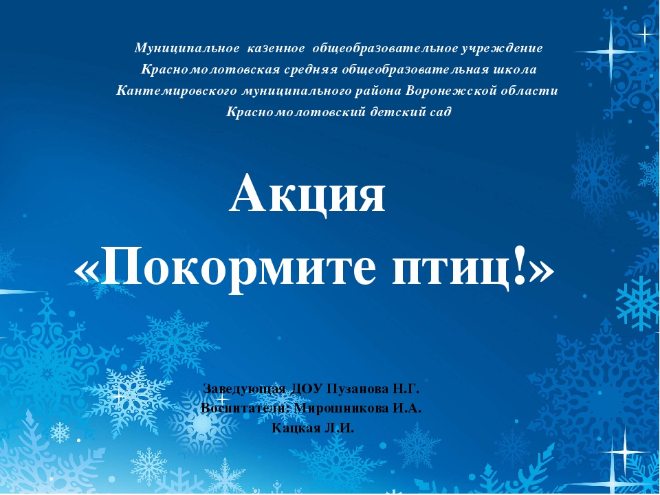 Презентация по акции "Покормите птиц зимой"