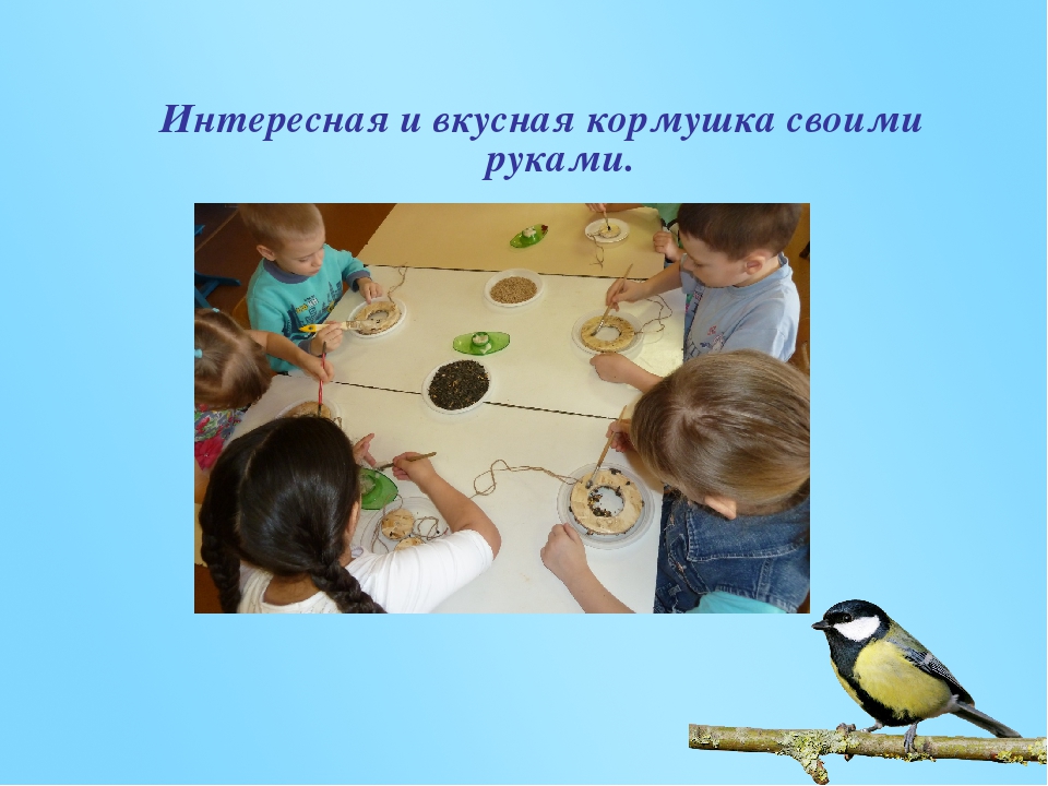Презентация по акции "Покормите птиц зимой"