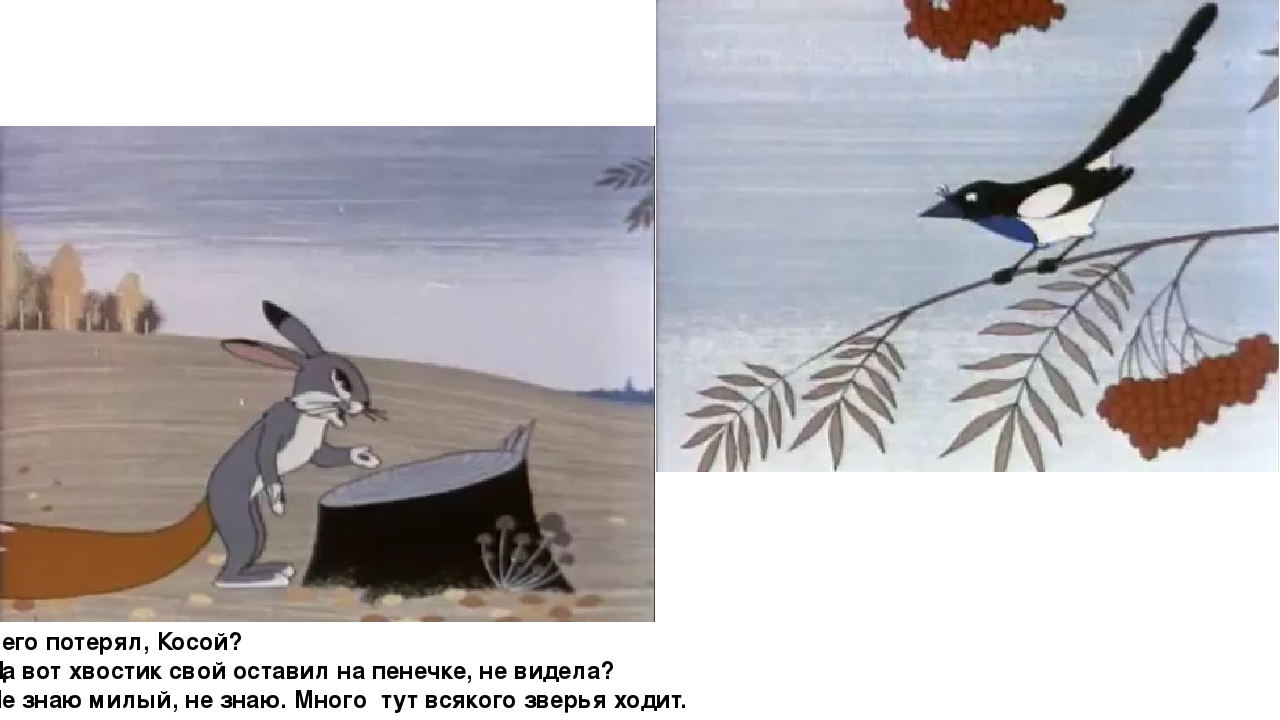 Презентация по сказке В. Сутеева "Хвосты"