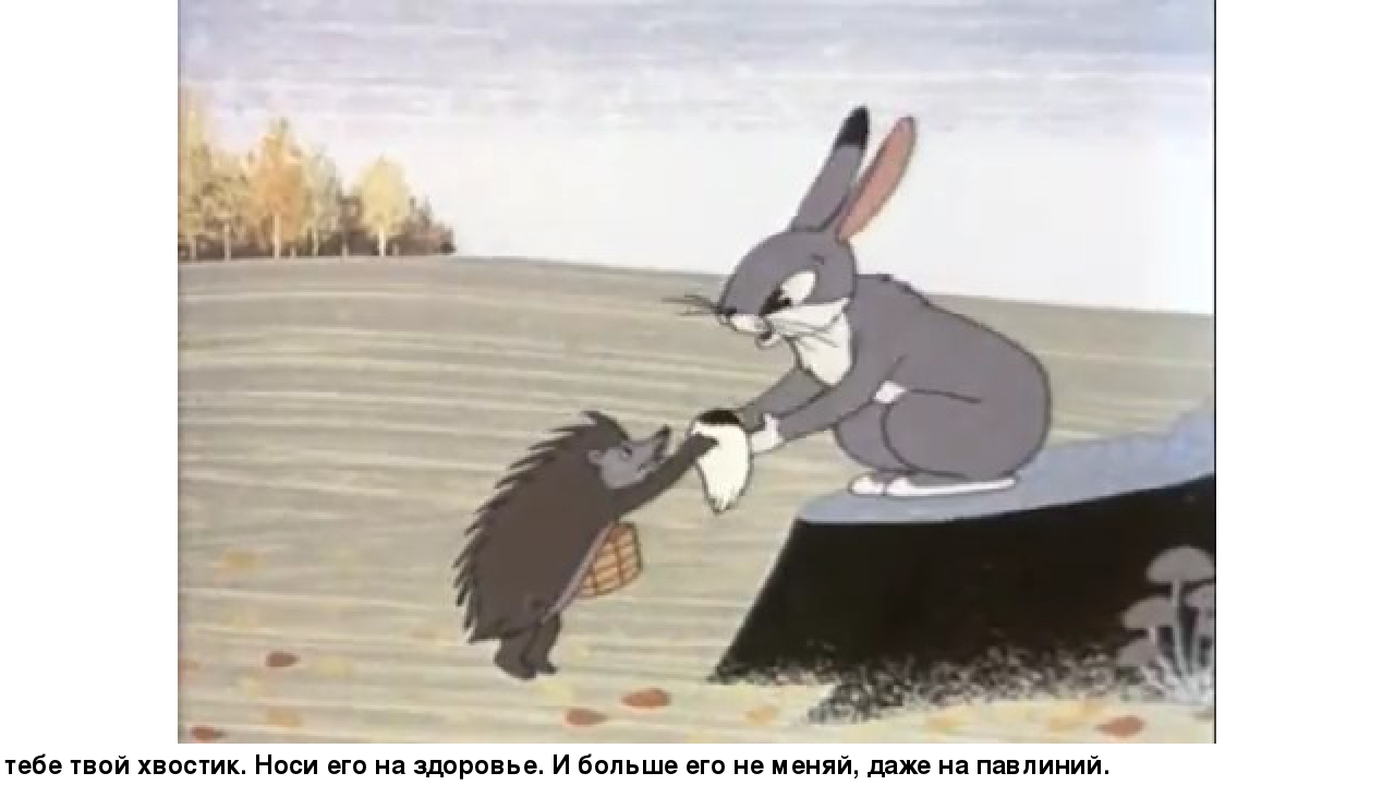 Презентация по сказке В. Сутеева "Хвосты"