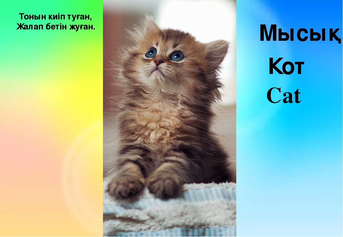 Урок соревнование для старшей группы "Ойнап, ойлап осемиз" миницентра КГУ ОСШ имени Абая. Провели воспитатели Кожахметова Жансулу и Сеитжамалова Салтанат