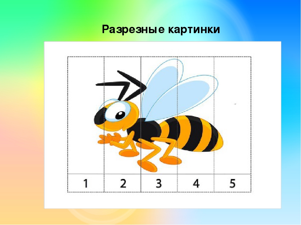 Презентация на лексическую тему "НАСЕКОМЫЕ"