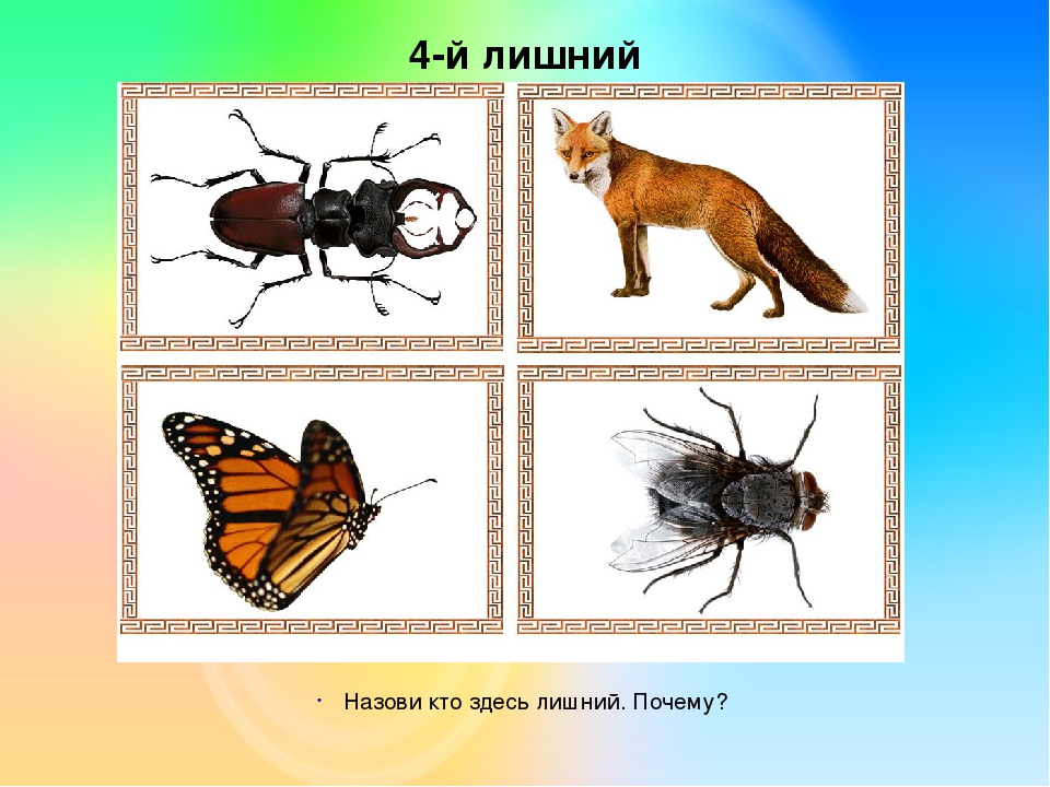 Презентация на лексическую тему "НАСЕКОМЫЕ"