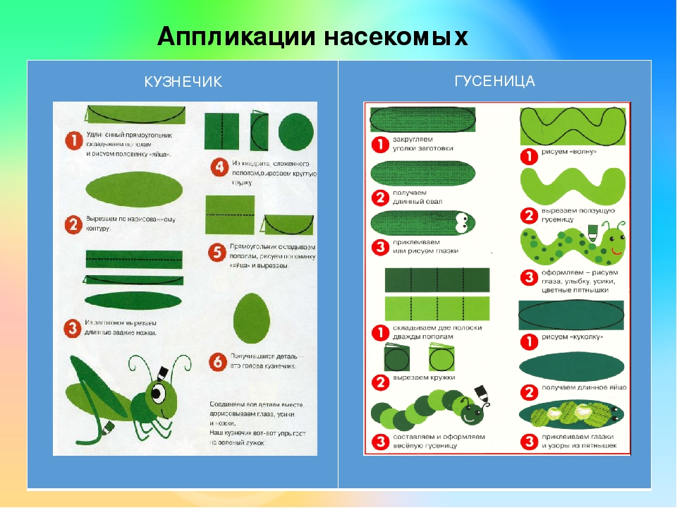 Презентация на лексическую тему "НАСЕКОМЫЕ"