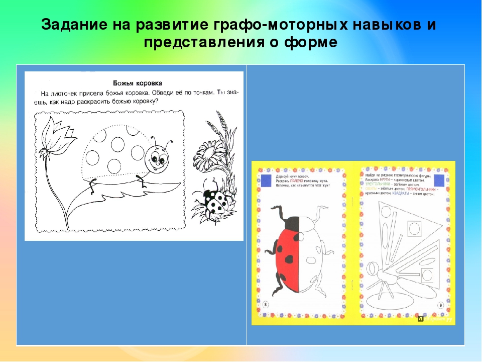 Презентация на лексическую тему "НАСЕКОМЫЕ"