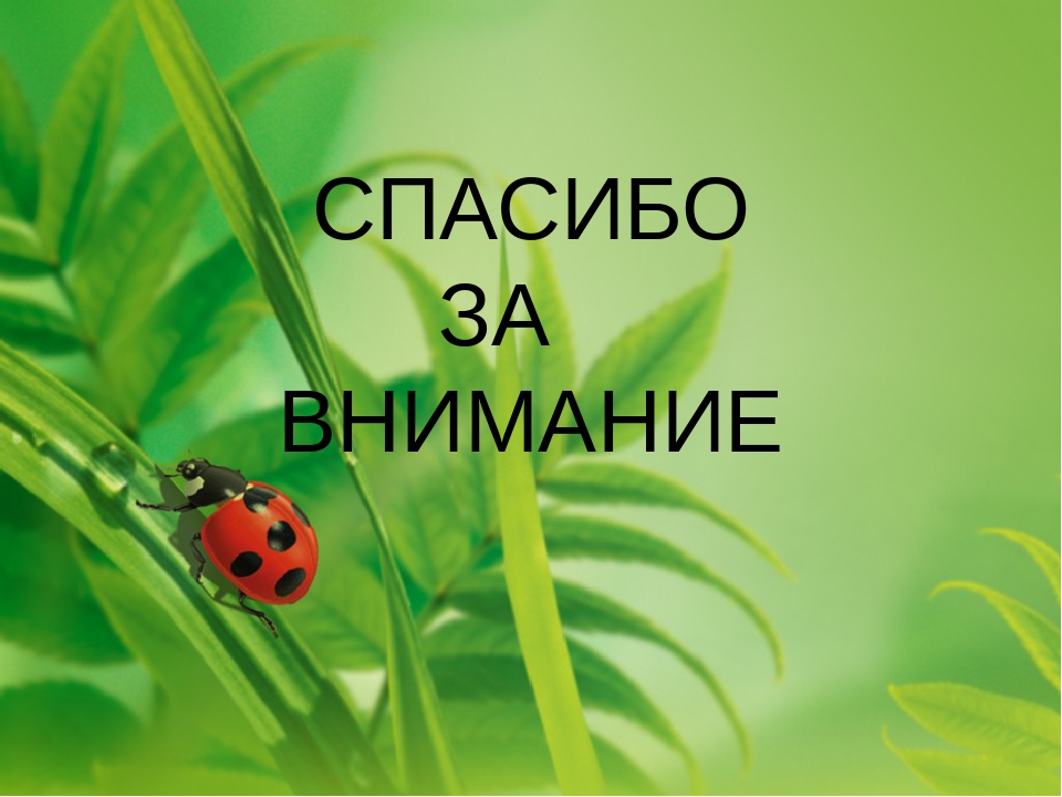 Презентация на лексическую тему "НАСЕКОМЫЕ"