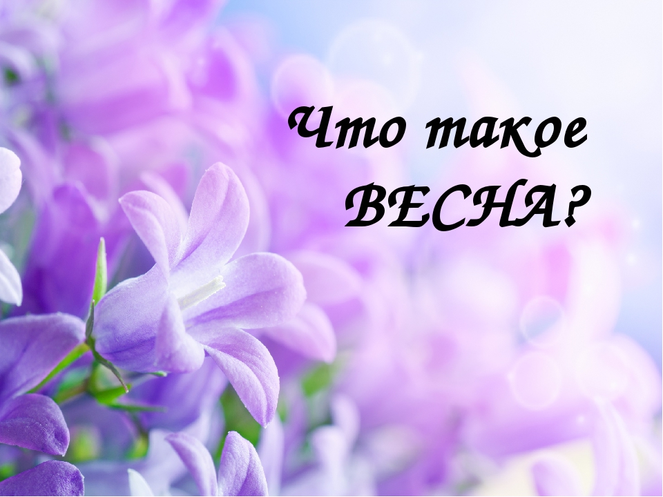 Презентация: "Что такое Весна?"