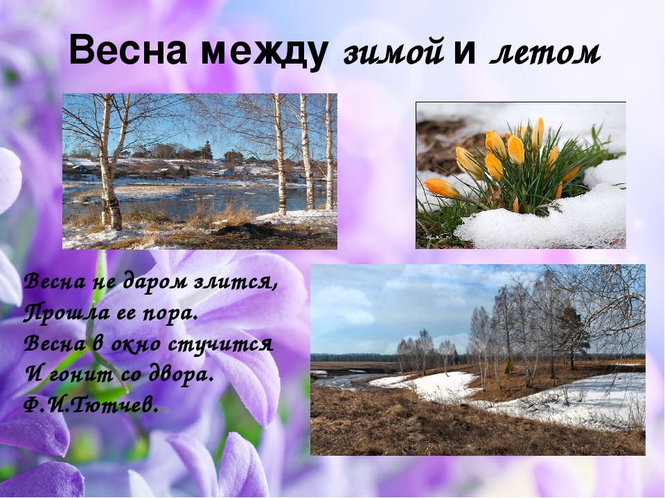 Презентация: "Что такое Весна?"