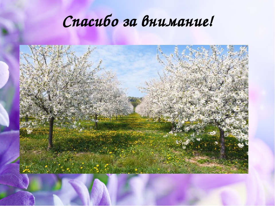Презентация: "Что такое Весна?"