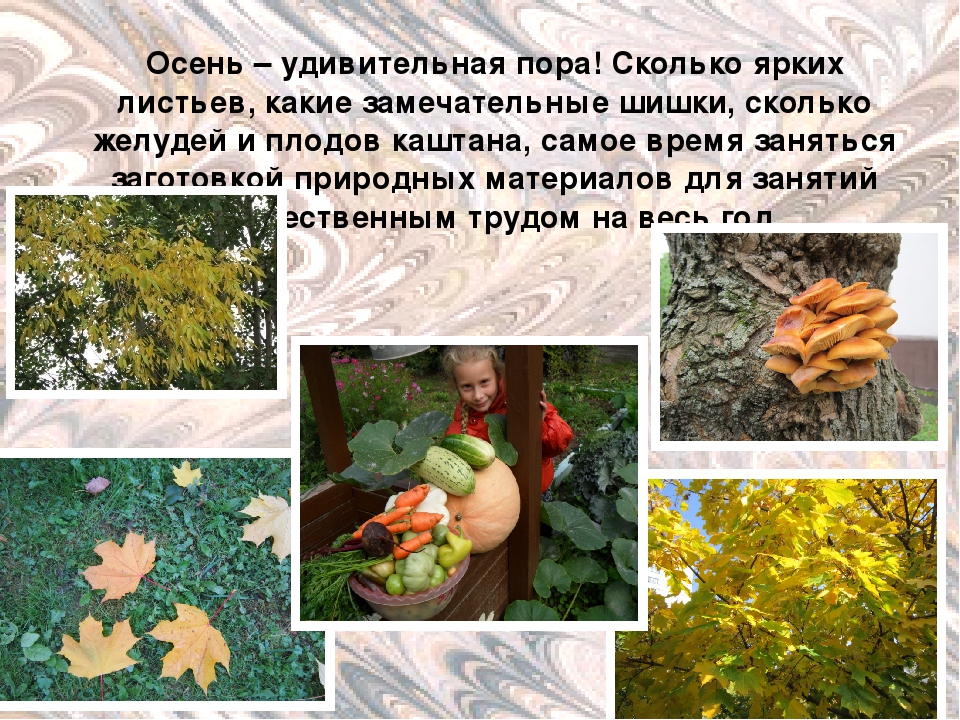 Презентация "Детские фантазии круглый год"