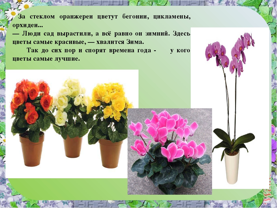 Презентация к итоговому занятию по теме "Цветы"