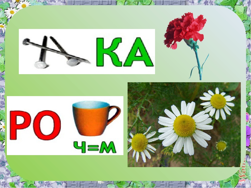 Презентация к итоговому занятию по теме "Цветы"