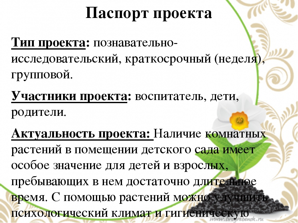 Презентация по окружающему миру в средней группе на тему "Комнатные растения"