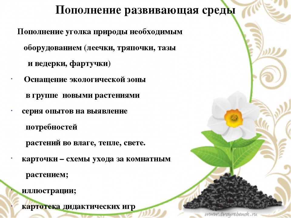 Презентация по окружающему миру в средней группе на тему "Комнатные растения"