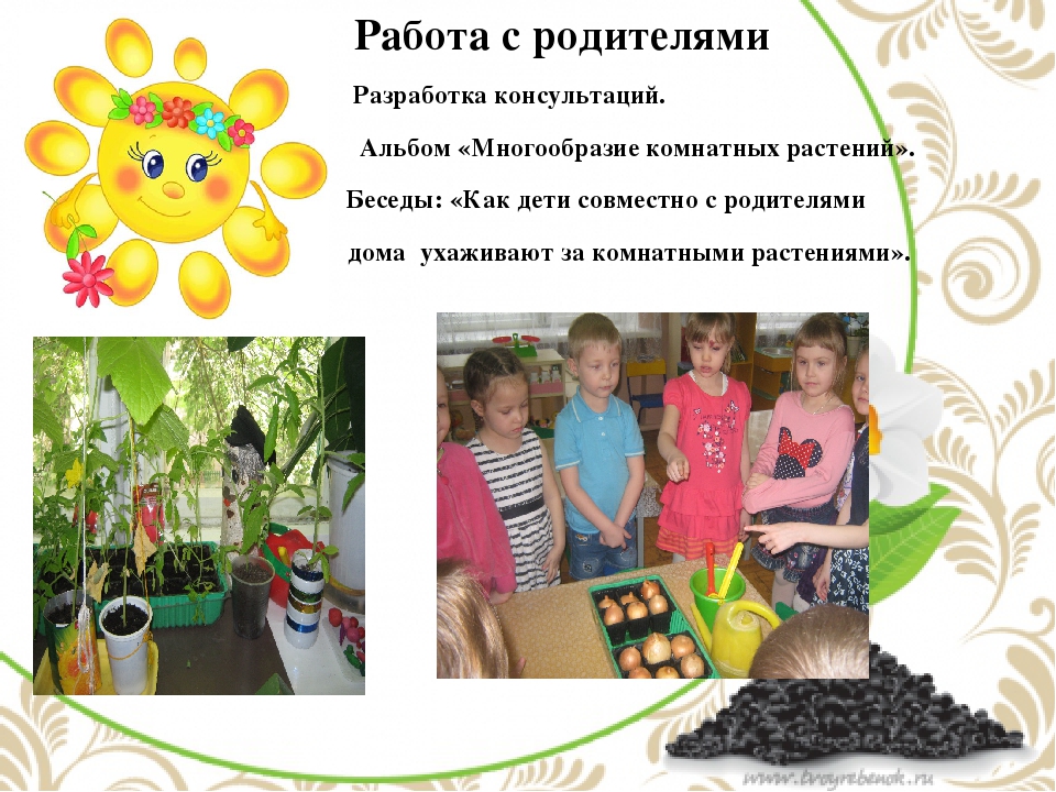 Презентация по окружающему миру в средней группе на тему "Комнатные растения"