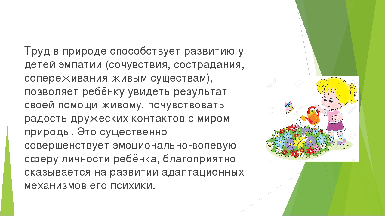 Презентация "Огород в детском саду"