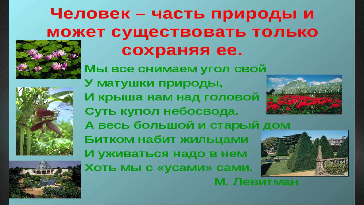 Презентация на экологическую тему: "Экология. Жизнь. Человек."