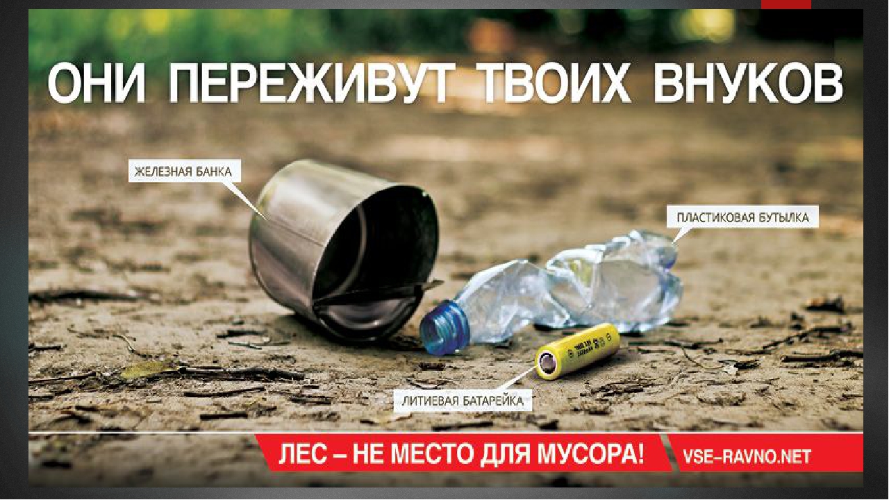 Презентация на экологическую тему: "Экология. Жизнь. Человек."